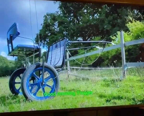 Pony Carriage screenshot captured from Gogglebox